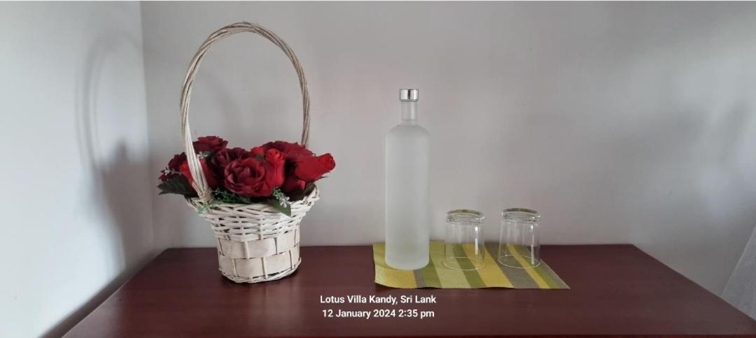 Lotus Villa Kandy ペラデニヤ エクステリア 写真
