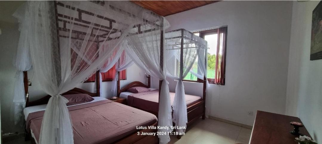Lotus Villa Kandy ペラデニヤ エクステリア 写真