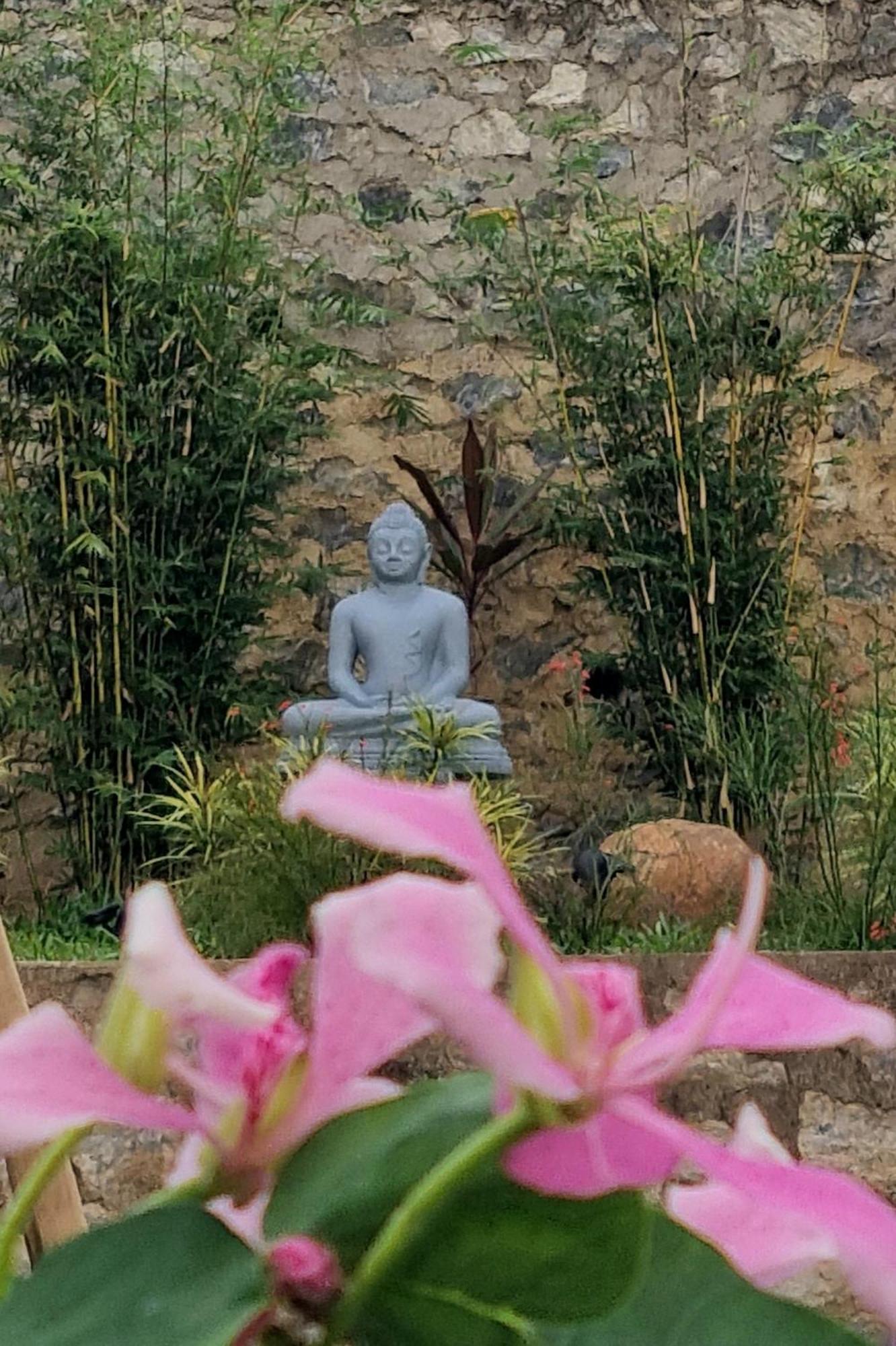 Lotus Villa Kandy ペラデニヤ エクステリア 写真