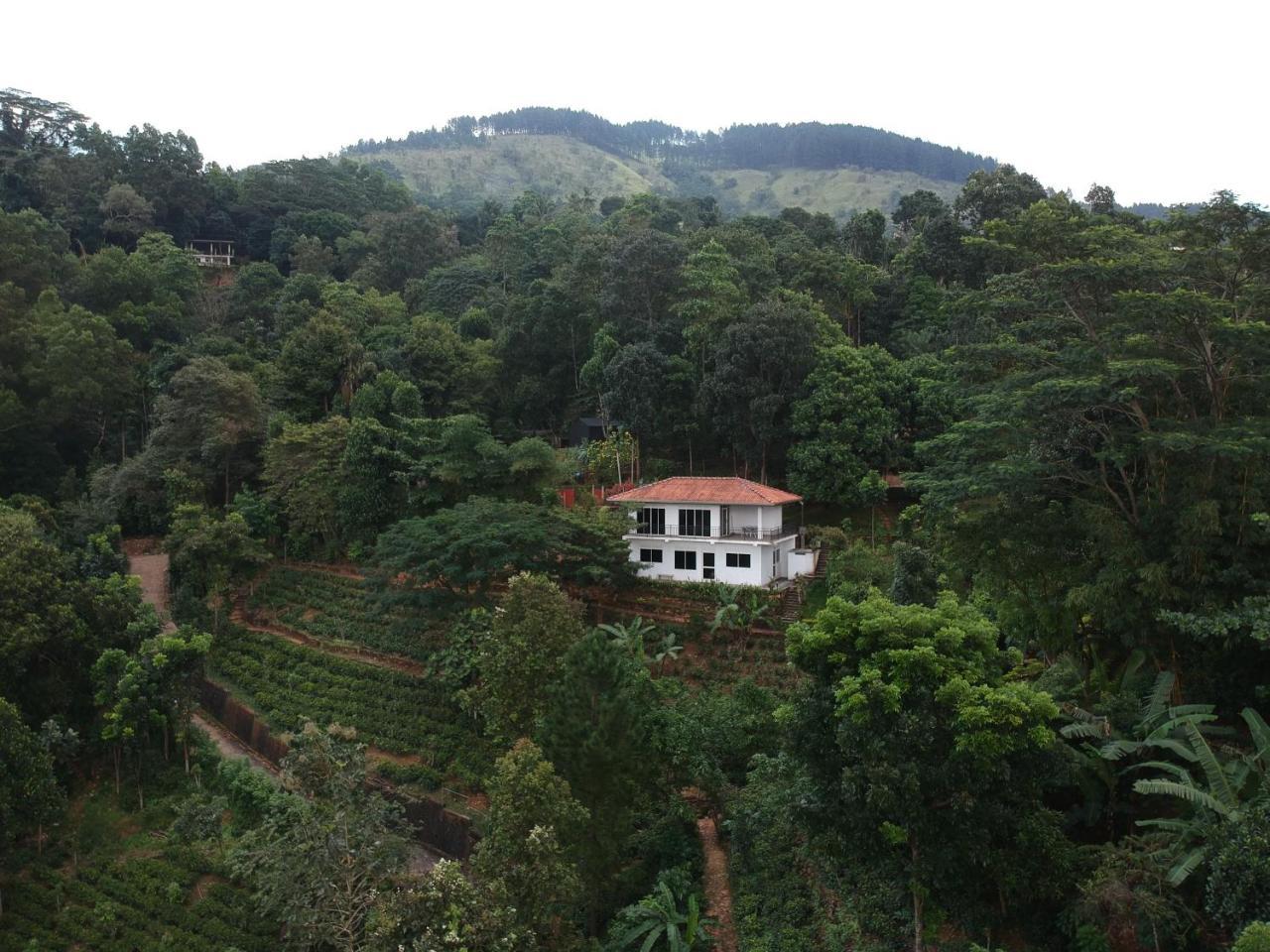 Lotus Villa Kandy ペラデニヤ エクステリア 写真